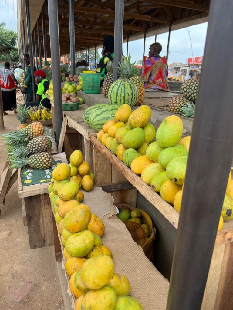 whatsapp image 2026 04 16 at 12.15.45 pm